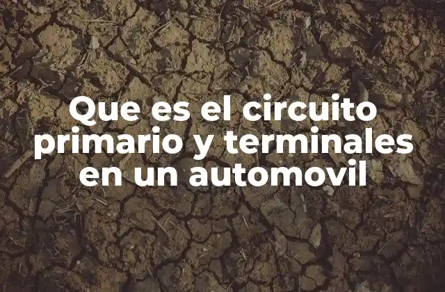 Que es el Circuito Primario y Terminales en un Automovil