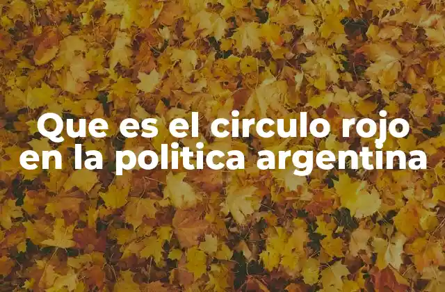 Que es el Circulo Rojo en la Politica Argentina 2 La influencia del círculo rojo en la toma de decisiones