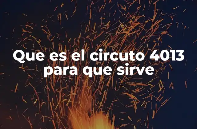 Que es el Circuto 4013 para que Sirve