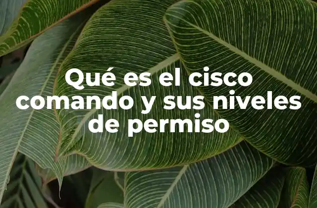 Qué es el Cisco Comando y Sus Niveles de Permiso
