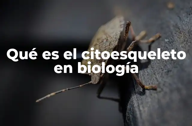 Qué es el Citoesqueleto en Biología