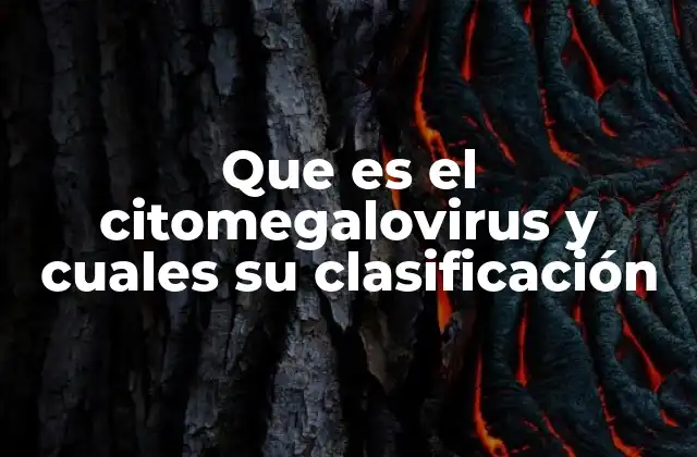 Que es el Citomegalovirus y Cuales Su Clasificación