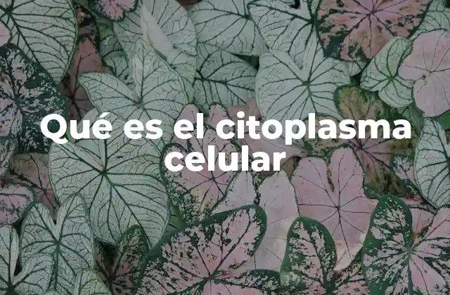 Qué es el Citoplasma Celular