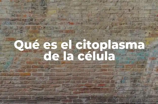 Qué es el Citoplasma de la Célula