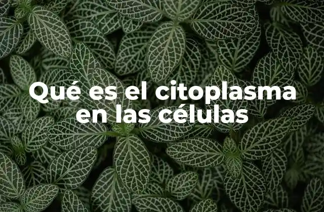 Qué es el Citoplasma en las Células