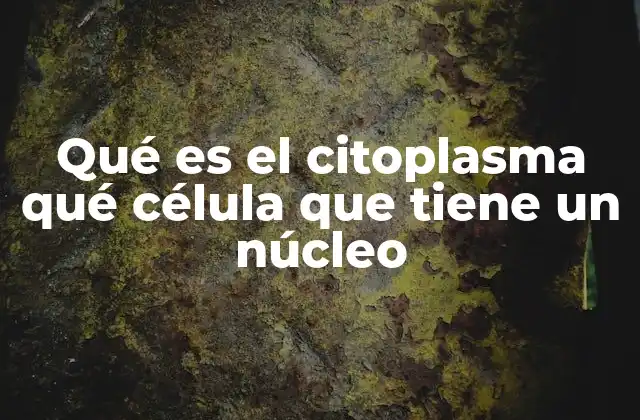 Qué es el Citoplasma Qué Célula que Tiene un Núcleo