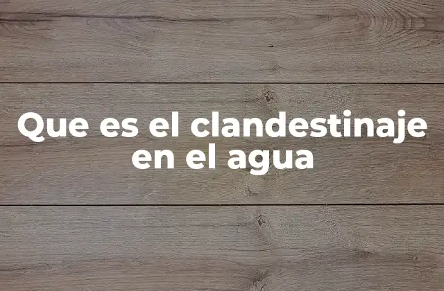 Que es el Clandestinaje en el Agua