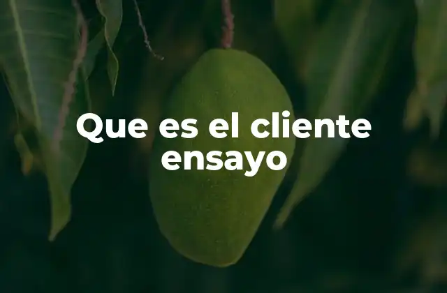 Que es el Cliente Ensayo
