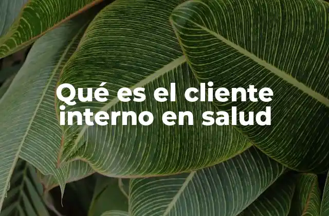 Qué es el Cliente Interno en Salud