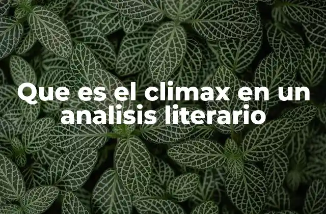 Que es el Climax en un Analisis Literario