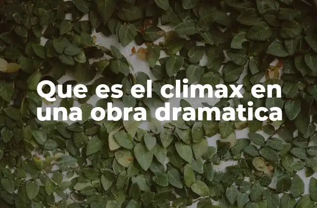 Que es el Climax en una Obra Dramatica