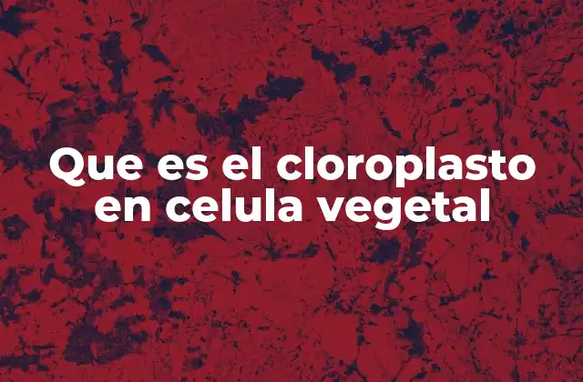 Que es el Cloroplasto en Celula Vegetal