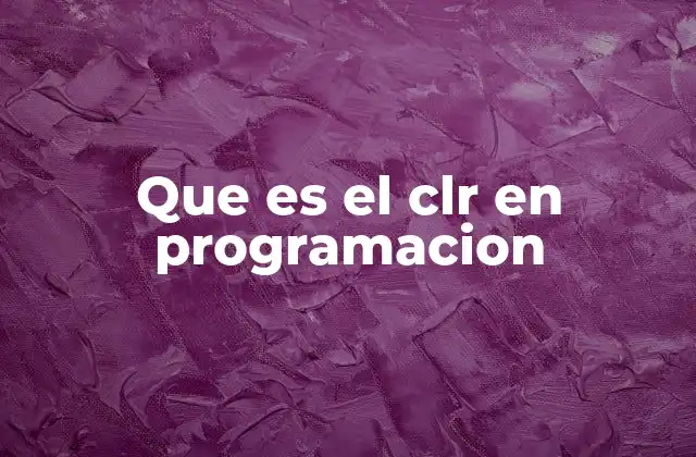 Que es el Clr en Programacion