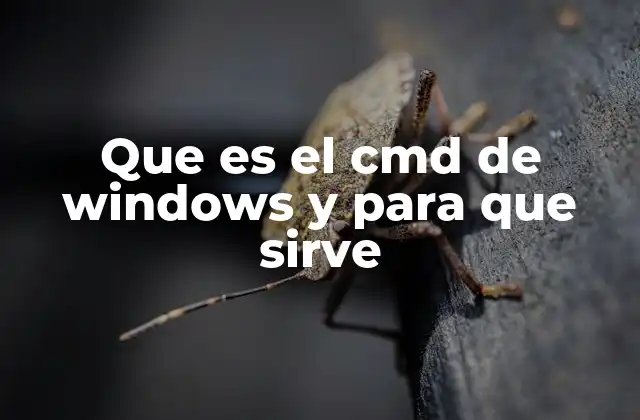 Que es el Cmd de Windows y para que Sirve