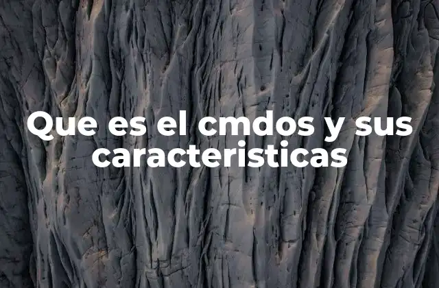 Que es el Cmdos y Sus Caracteristicas