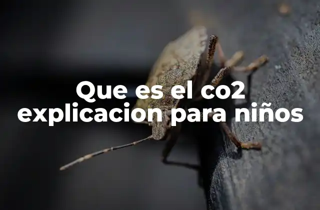 Que es el Co2 Explicacion para Niños