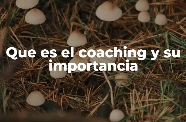 Que es el Coaching y Su Importancia