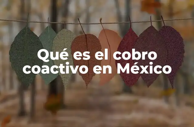 Qué es el Cobro Coactivo en México