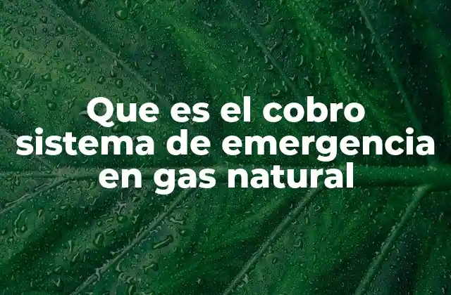 Que es el Cobro Sistema de Emergencia en Gas Natural 2 El impacto del sistema de emergencia en la economía del gas