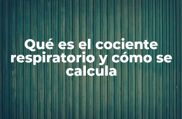 Qué es el Cociente Respiratorio y Cómo Se Calcula