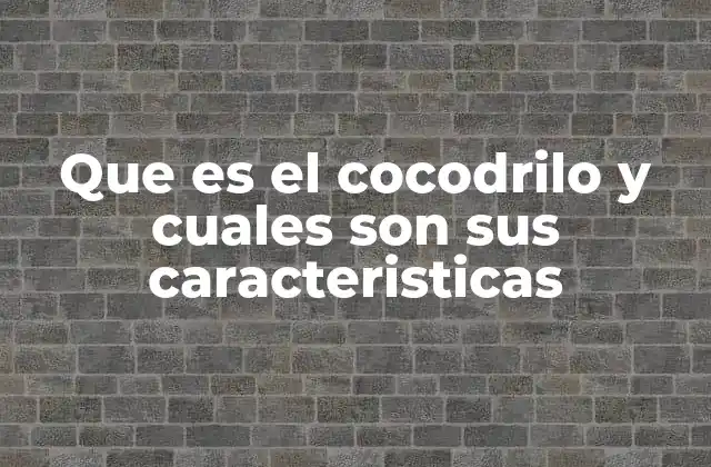 Que es el Cocodrilo y Cuales Son Sus Caracteristicas