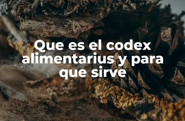 Que es el Codex Alimentarius y para que Sirve 2 El rol del Codex Alimentarius en la seguridad alimentaria mundial
