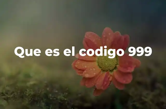 El código 999 en el mundo de la tecnología