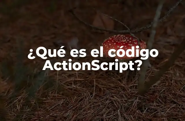 ¿qué es el Código Actionscript?