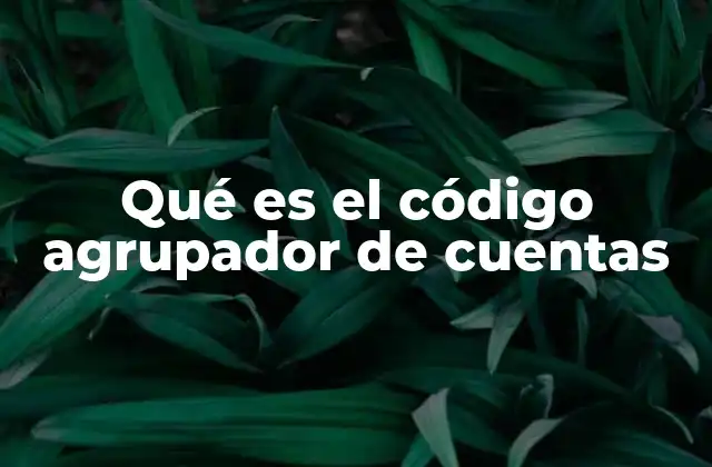 Qué es el Código Agrupador de Cuentas