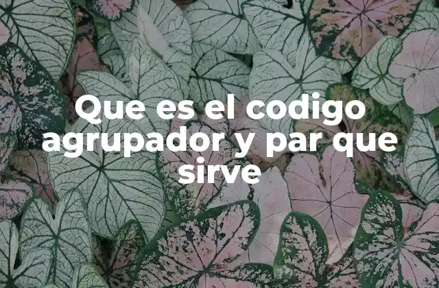 Que es el Codigo Agrupador y Par que Sirve