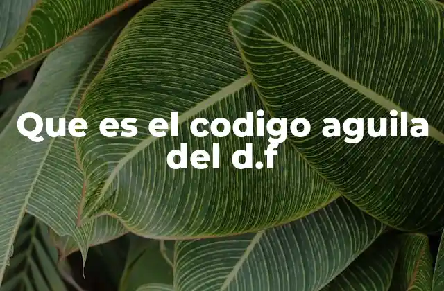 Que es el Codigo Aguila Del D.f