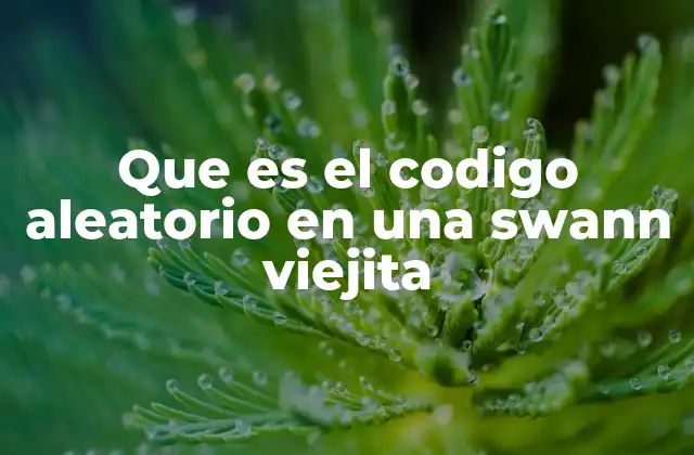 Que es el Codigo Aleatorio en una Swann Viejita