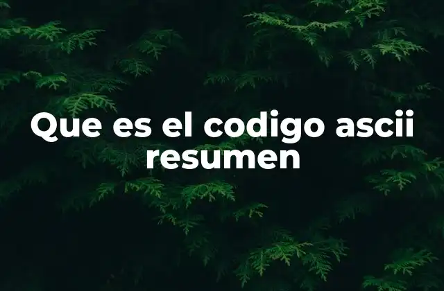 Que es el Codigo Ascii Resumen