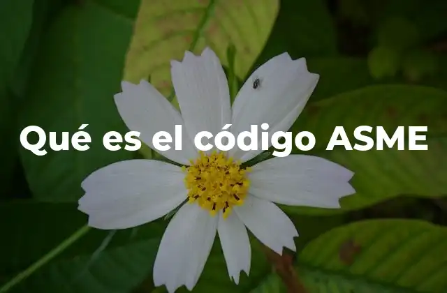 Qué es el Código Asme 2 La importancia de las normativas en la ingeniería industrial