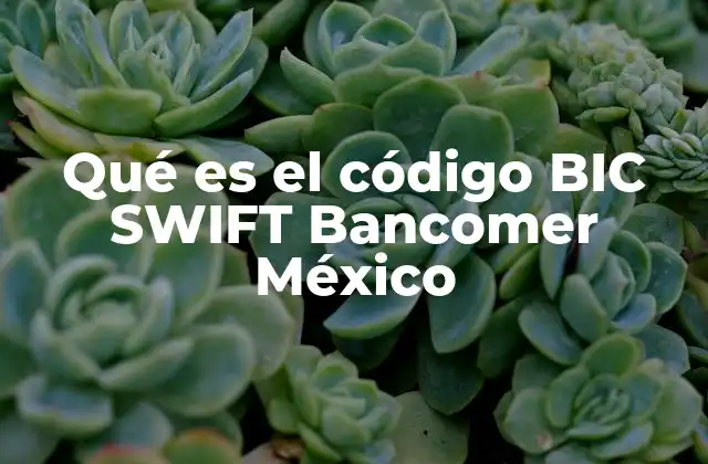 Qué es el Código Bic Swift Bancomer México 2 La importancia del código BIC en las transferencias internacionales