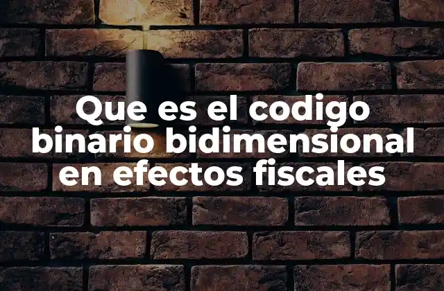 Que es el Codigo Binario Bidimensional en Efectos Fiscales