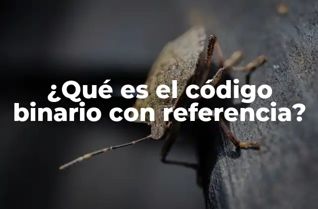 ¿qué es el Código Binario con Referencia?