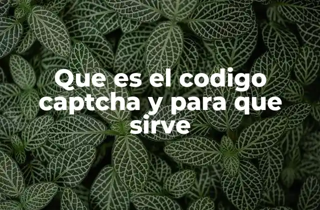 Que es el Codigo Captcha y para que Sirve 2 La importancia del CAPTCHA en la ciberseguridad
