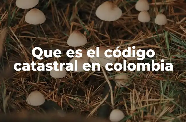 Que es el Código Catastral en Colombia