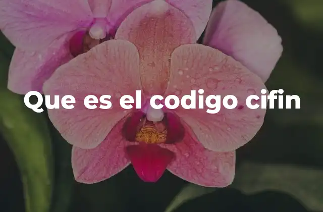 Que es el Codigo Cifin