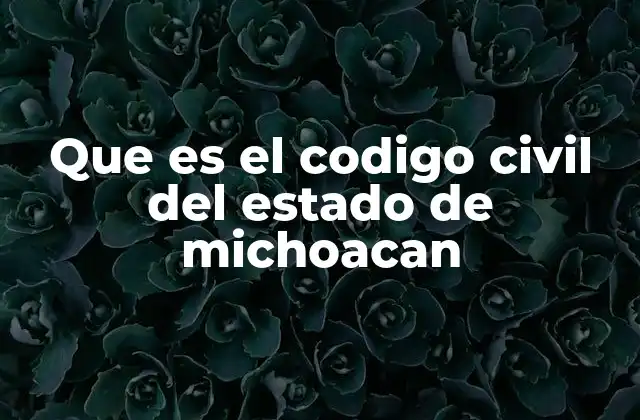 Que es el Codigo Civil Del Estado de Michoacan