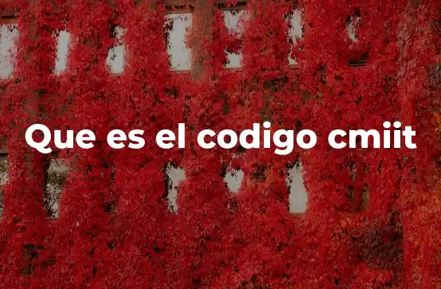 Que es el Codigo Cmiit