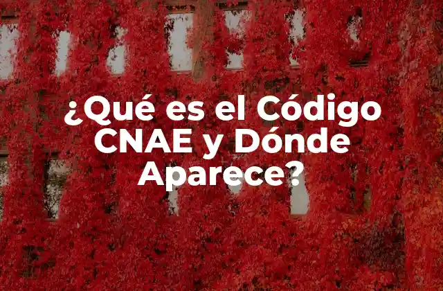¿qué es el Código Cnae y Dónde Aparece?