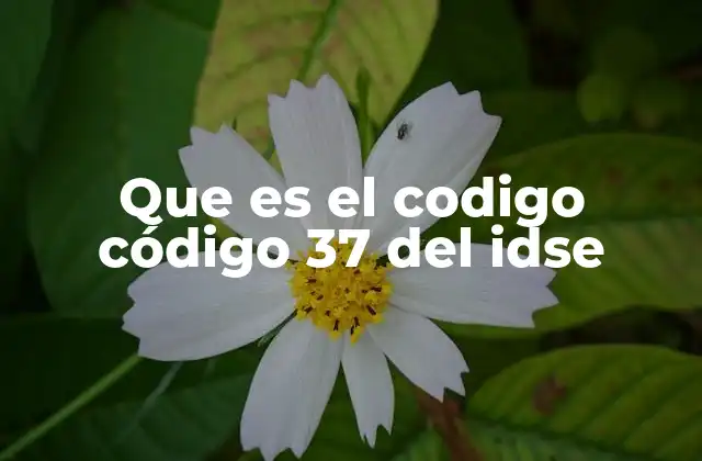 La importancia del código 37 en el sistema de salud dominicano