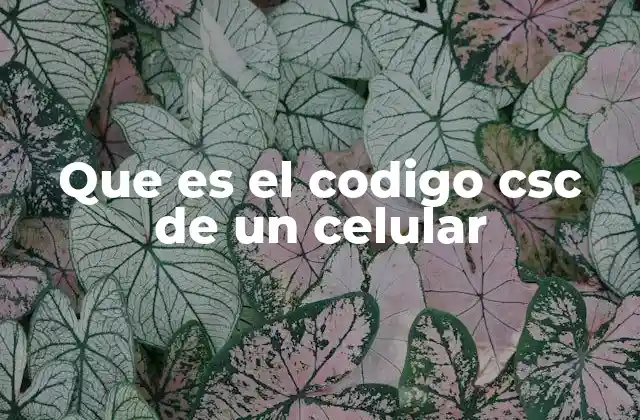 Que es el Codigo Csc de un Celular