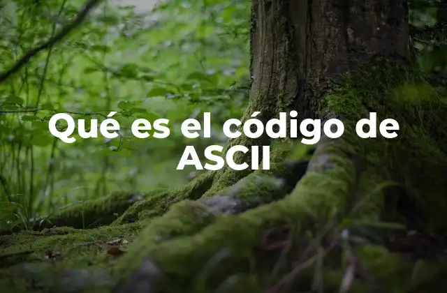 Qué es el Código de Ascii