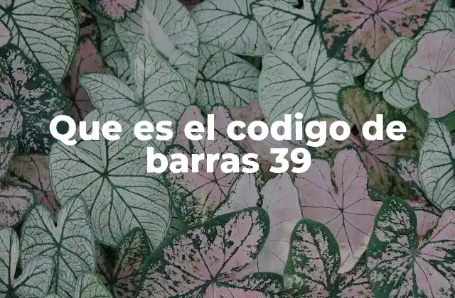 Que es el Codigo de Barras 39