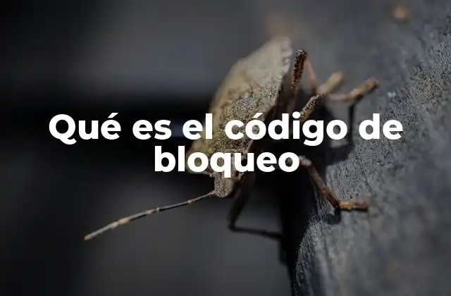 Qué es el Código de Bloqueo