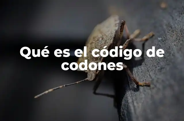 Qué es el Código de Codones