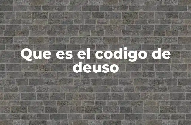 Que es el Codigo de Deuso